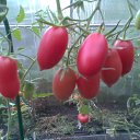 ���� ����, �����, 48 ��� - ��������� 23 ������� 2025 � ������ ������ ��������