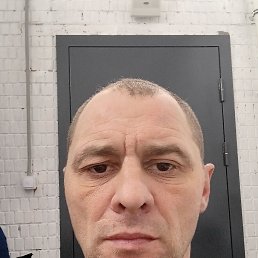 ���� ������, �����-���������, 41 ��� - ��������� 2 ������� 2026