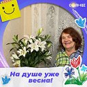 ���� �������, ������ - ��������� 15 ������� 2026 � ������ ���� ����������