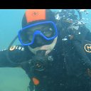 ���� �������, ����������, 50 ��� - ��������� 31 ������ 2026