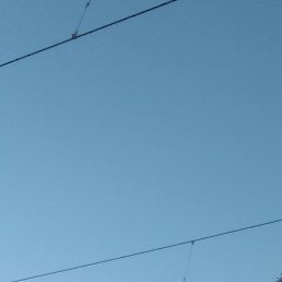 ����������, ����, 46 ���