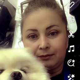 ��������, ������, 55 ���