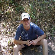 �����, 33 ����, ����