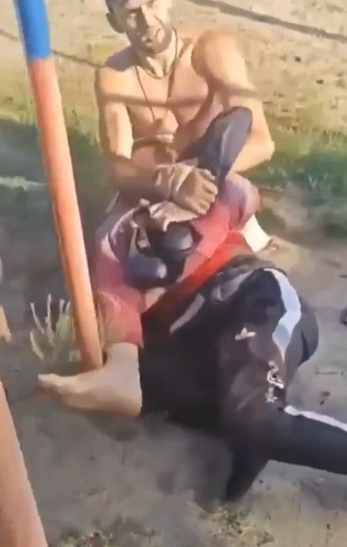 �������������� ������ ���� �����. ������ �� ������������� ������� �� �����. � �����-�� ������ �� ... - 2