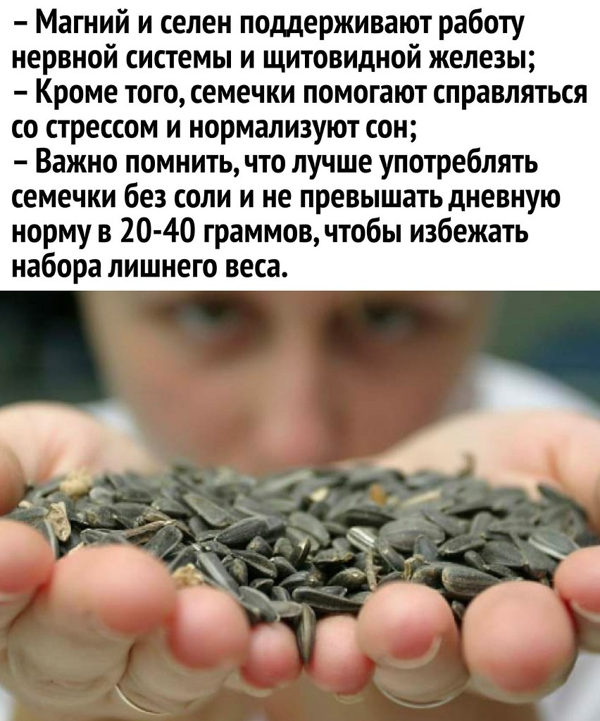 ����� ���� - 3