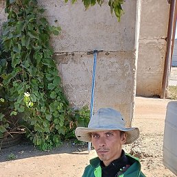 ���� ������, ���������, 30 ��� - ��������� 1 ������� 2024