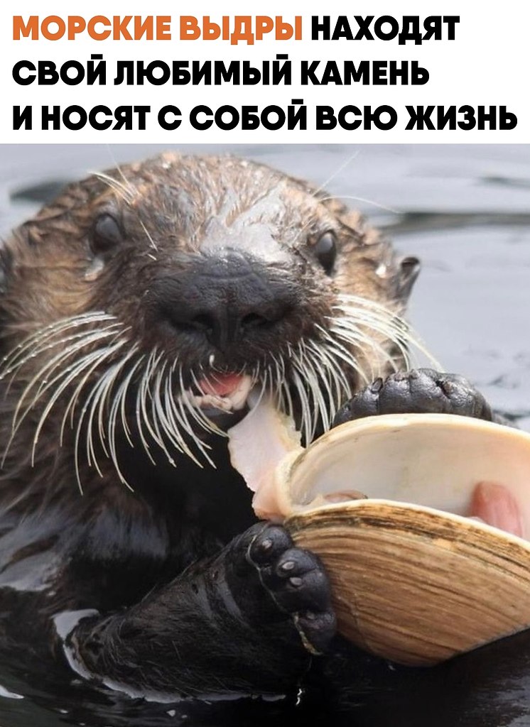������� ����� ���������� ����� ��� ��������� ����������� ��� ������ ���. ��� ��������� �� � �������� ...