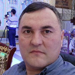 �����, ������, 49 ���