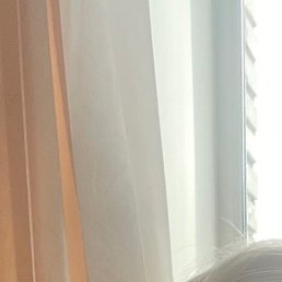 �������, �����������, 49 ���