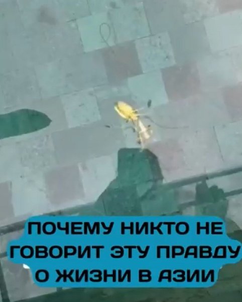     ? ,    .      ... - 2