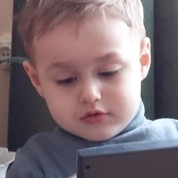 �����, �����, 33 ����