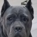 ���� ���������, ����-���, 46 ��� - ��������� 10 ��� 2025 � ������ ���� ����������