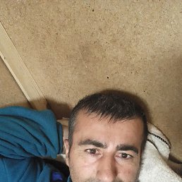 , 40, 