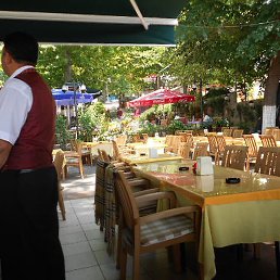 �����, �������, 52 ����