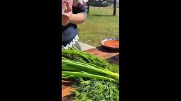 ������ ����, ���� � �������� ����������.��������� � ������� �������� ������������.