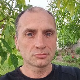 ������, ��������, 46 ���