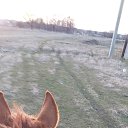 ���� �����, ������������, 40 ��� - ��������� 6 ���� 2024 � ������ ���� ����������