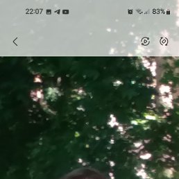 , 45, 
