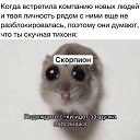 ���� �, ������ - ��������� 20 ������� 2026 � ������ ������ ��������