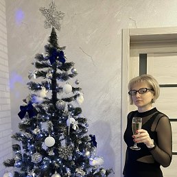 ���� �������, ������, 42 ���� - ��������� 14 ������� 2026