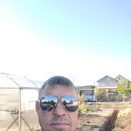 �������, 38 ���, ������