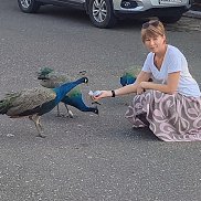 Елена, 51 год, Дмитров Елена, 51 год, Дмитров