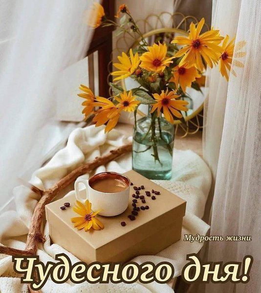   ,    . - 27  2025  13:02 - 4