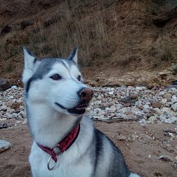 ������, ������, 44 ����