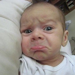 ������, �����, 42 ����