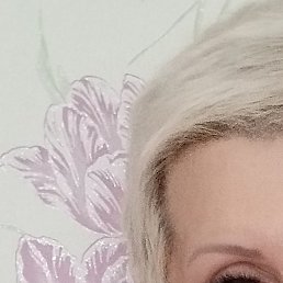 �������, ���������, 56 ���