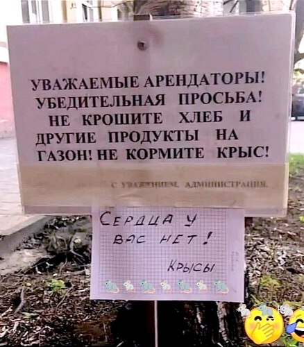     )