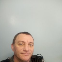 ���������, 38 ���, ���������