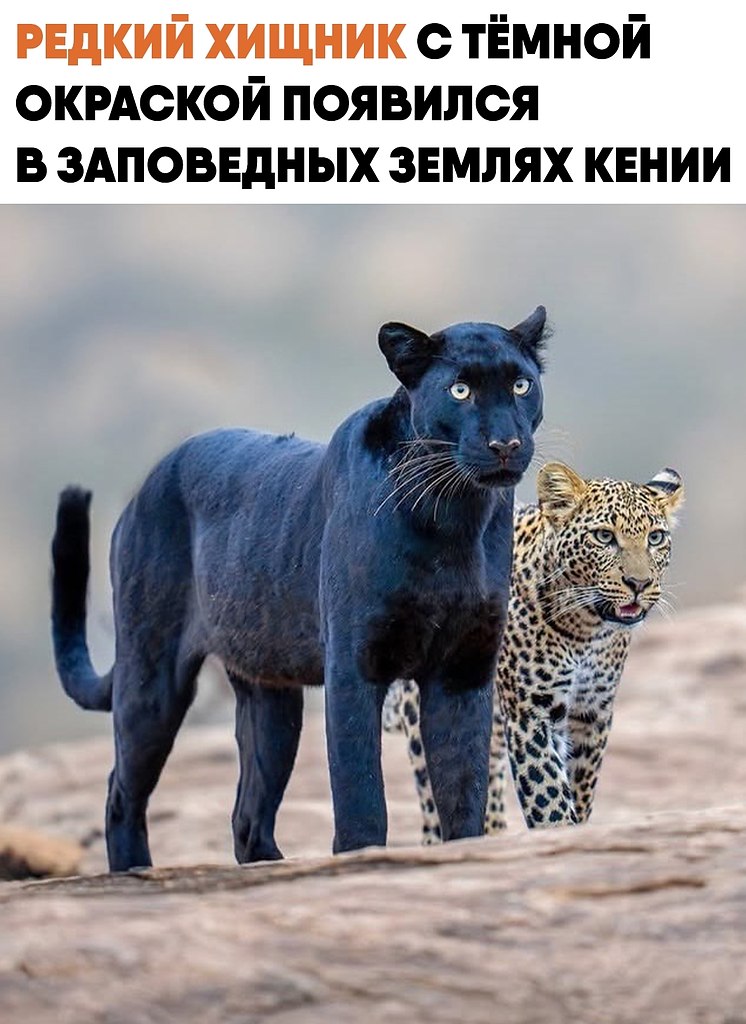 ���� �� ����� ������ ������� ����� ������� � ��������������� ������� � ���� �������� � ��������� � ...