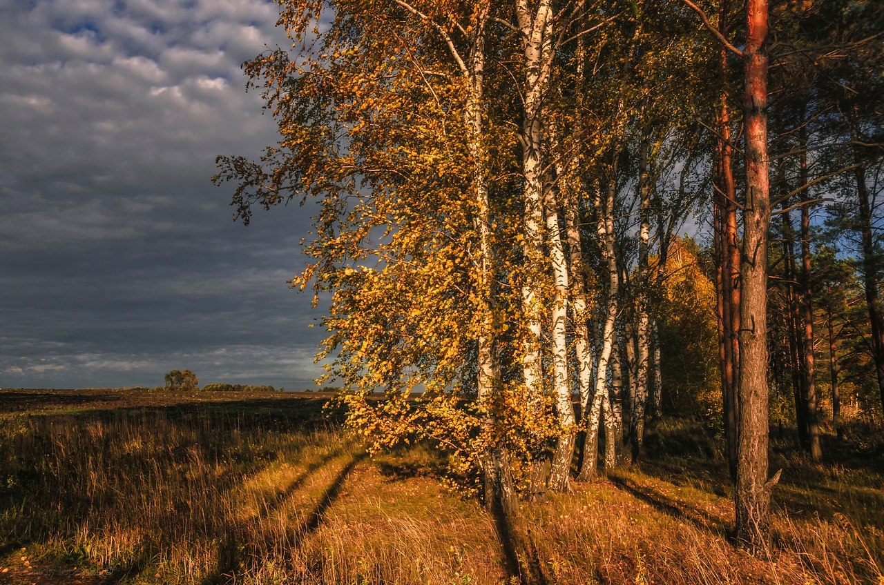 ce eep  ope. aca oac, ac pao, c. epao.