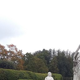 ����, �����-���������, 65 ���