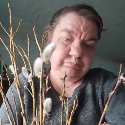 �����, ������, 51 ���