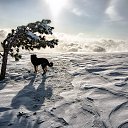 ���� �������, �������� - ��������� 5 ������� 2025 � ������ ���� ����������