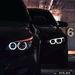 Daminik, �����, 28 ���