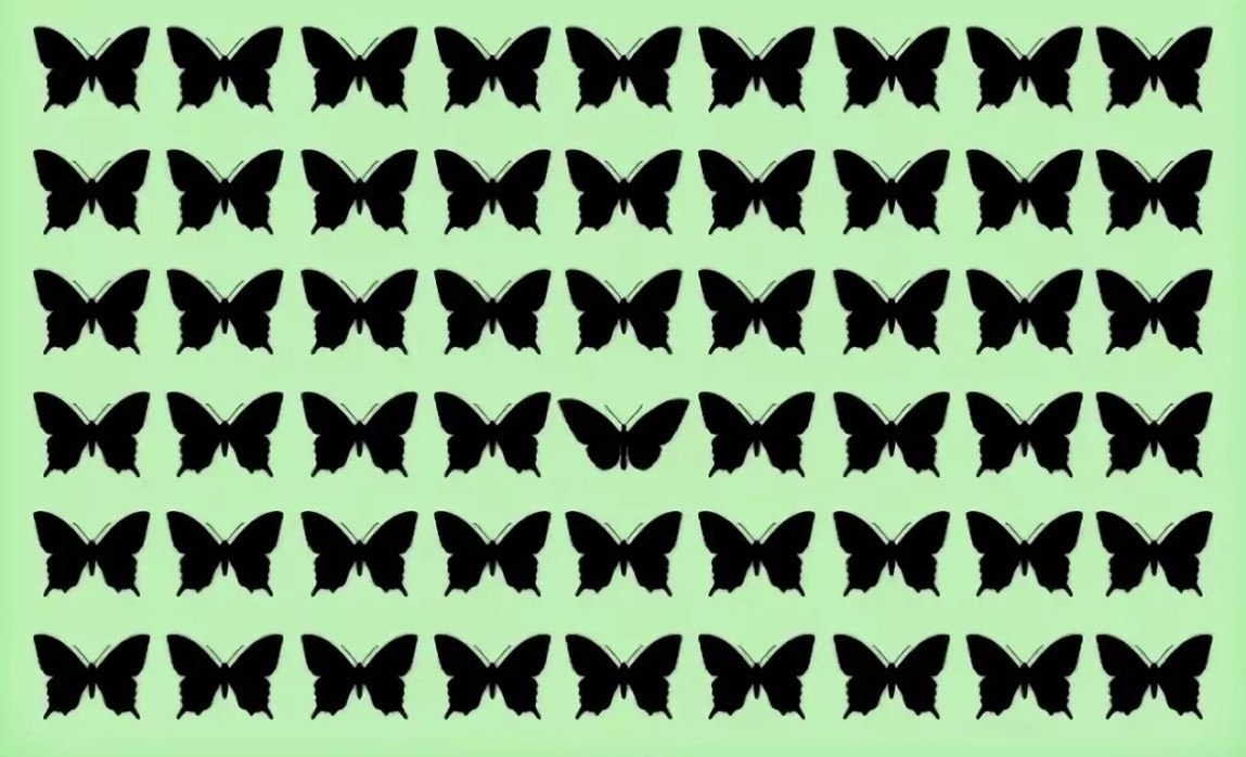 ����� ������� ���������� �� ������? #����@velikieslova