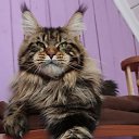 ���� ������, �����-��������� - ��������� 22 ������ 2025 � ������ ���� ����������