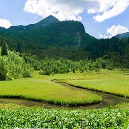 Фото Владимир, Армавир, 45 лет Владимир, Армавир, 45 лет