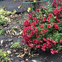 ���� �������, ���������, 62 ���� - ��������� 19 ������� 2023 � ������ ������ ��������