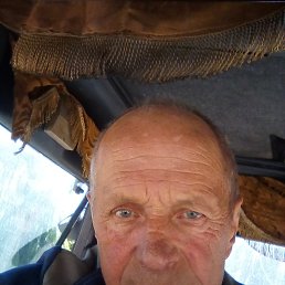 , 61, 