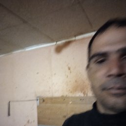 ���� Yosdeiny, ������, 40 ��� - ��������� 20 ���� 2024