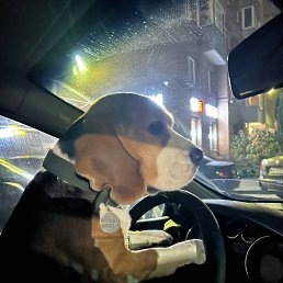 ���� ��������, �����-���������, 37 ��� - ��������� 4 ������ 2025