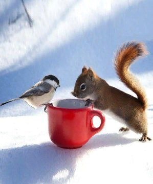 Последние выходные осени! Всем хорошего утра! А до зимы 5 дней! :) ¤¤¤¤¤¤¤¤¤¤¤¤¤¤¤¤¤¤¤¤¤¤¤¤¤ - 2