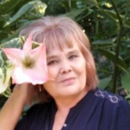 ������, ������, 66 ���