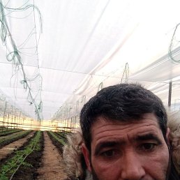 �����, ������, 44 ����