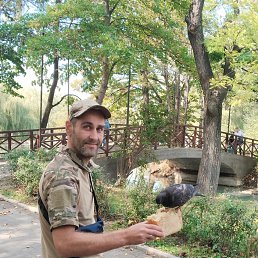 ������, 39 ���, �������