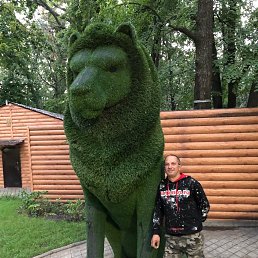 �������, 42 ����, �����